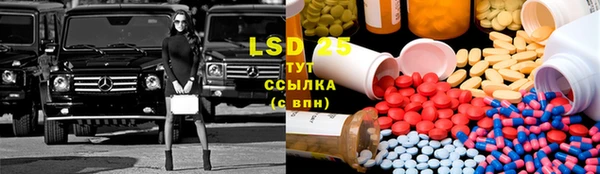 тгк Магас