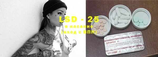 тгк Магас