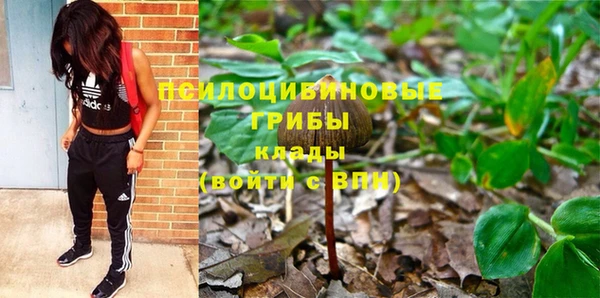 тгк Магас
