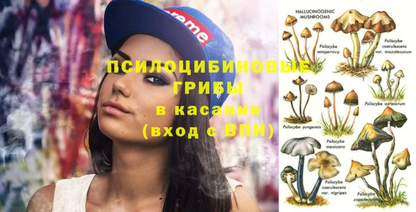 тгк Магас