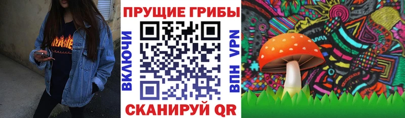 Галлюциногенные грибы Cubensis Каменск-Уральский