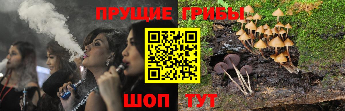 Галлюциногенные грибы прущие грибы Каменск-Уральский